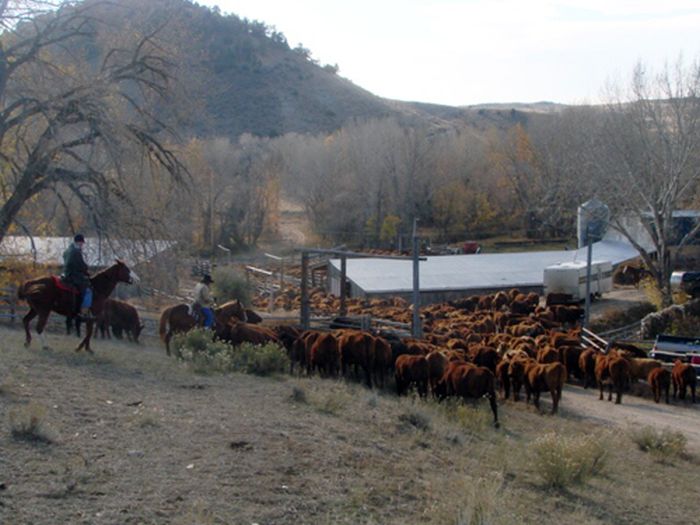 Two Creek Ranch