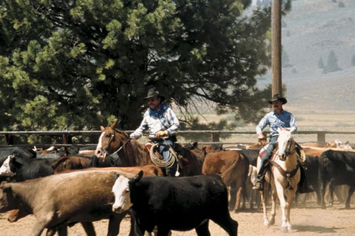 Two Creek Ranch