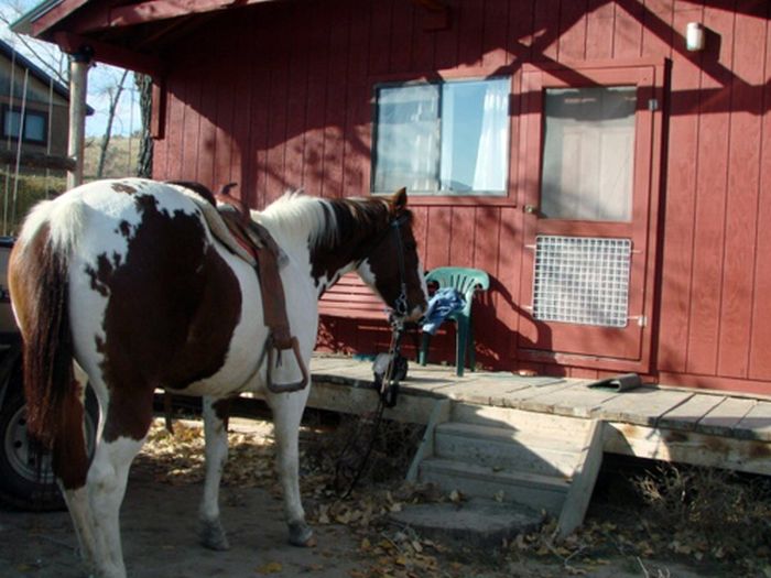 Two Creek Ranch