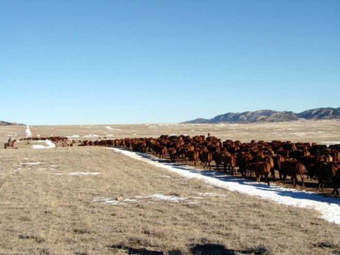 Two Creek Ranch