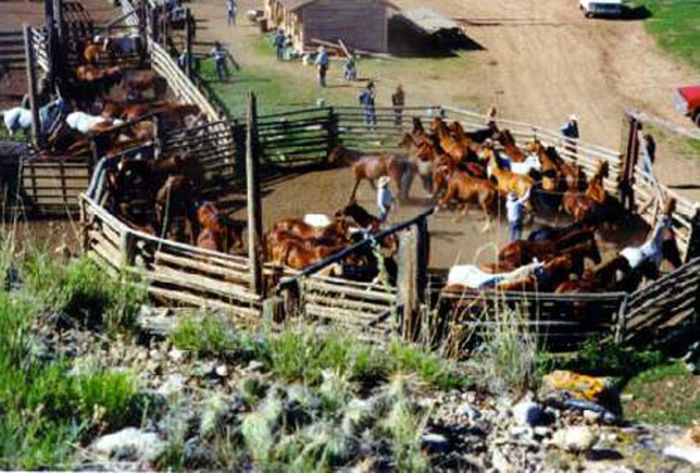 Dryhead Ranch