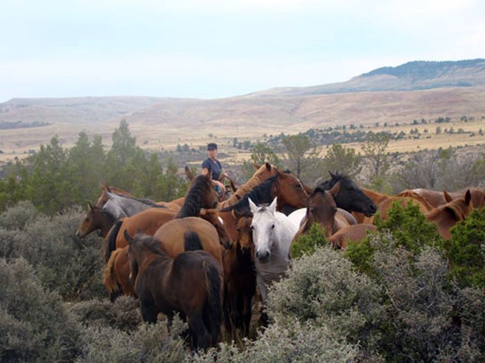 Dryhead Ranch