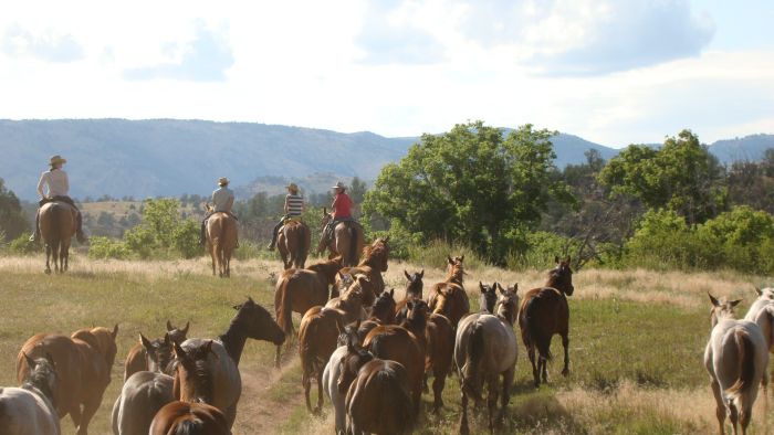 Dryhead Ranch