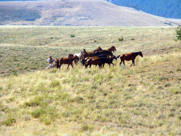 Dryhead Ranch
