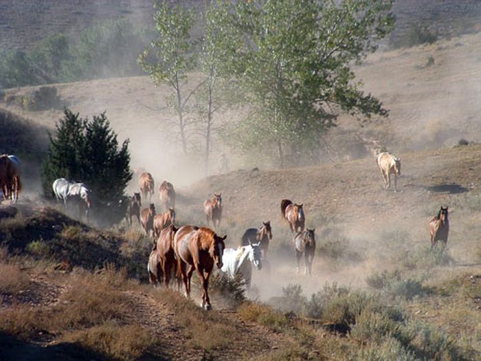 Dryhead Ranch