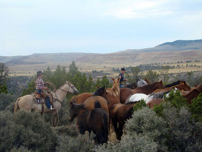 Dryhead Ranch