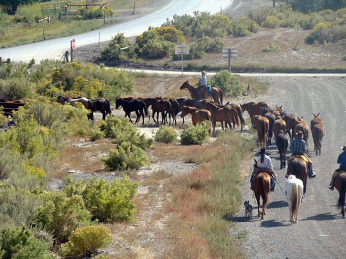 Dryhead Ranch