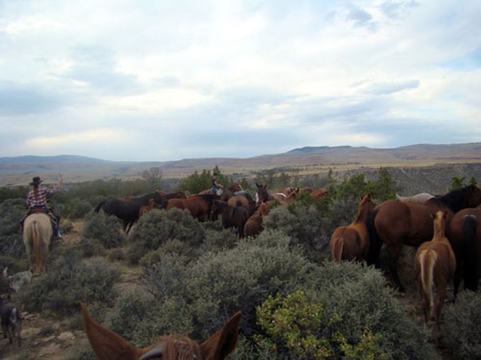 Dryhead Ranch