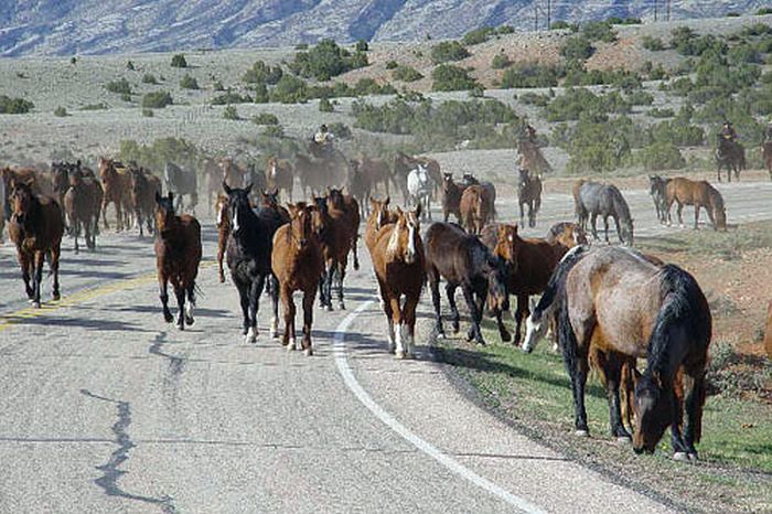 Dryhead Ranch