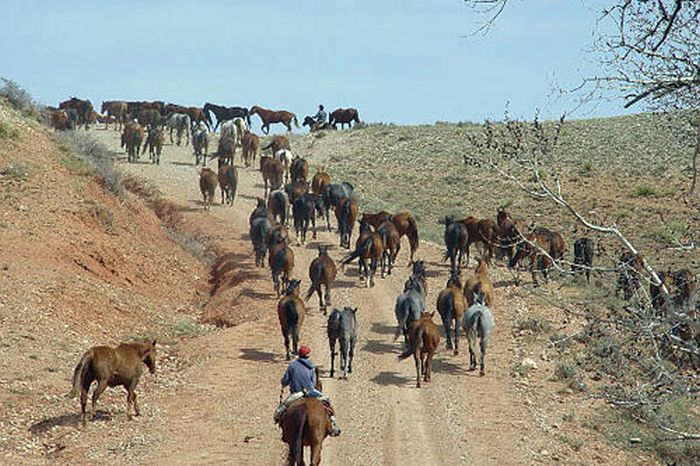 Dryhead Ranch