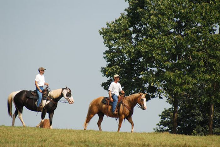 Southern Cross Ranch au cœur de la Géorgie