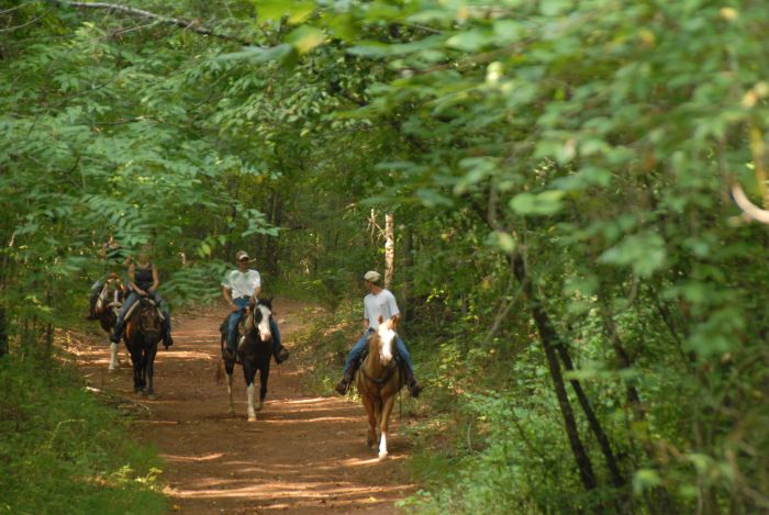 Southern Cross Ranch au cœur de la Géorgie