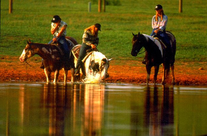Southern Cross Ranch au cœur de la Géorgie