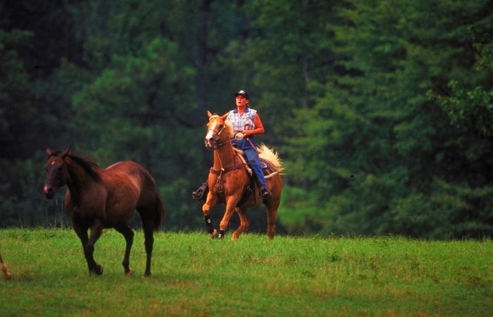 Southern Cross Ranch au cœur de la Géorgie