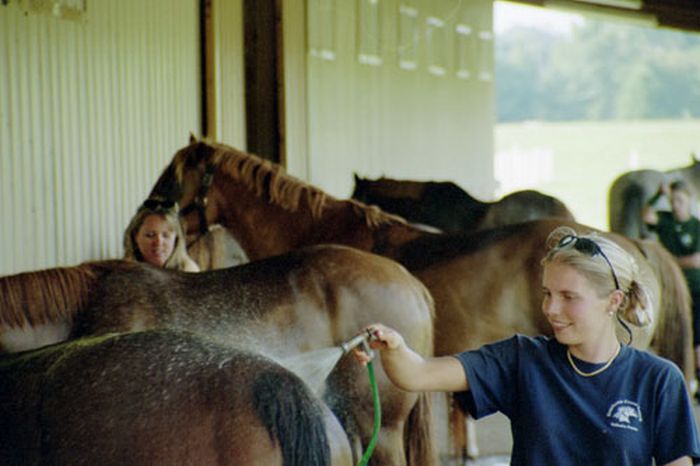 Southern Cross Ranch au cœur de la Géorgie