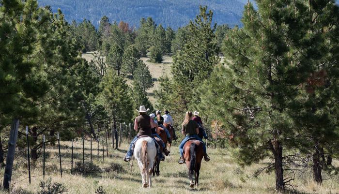 Little Belt Mountain Ranch