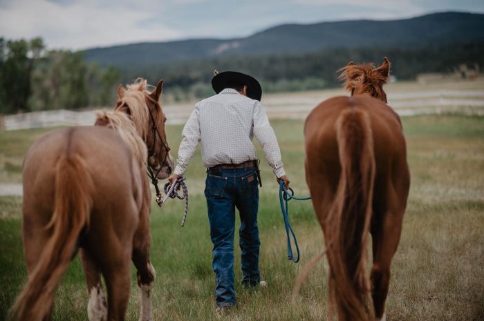 Little Belt Mountain Ranch