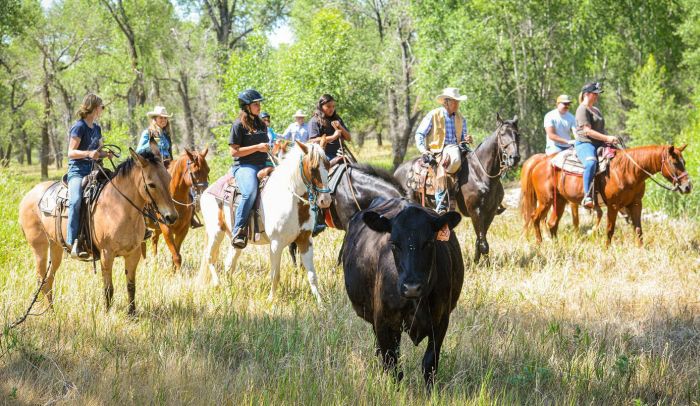 Little Belt Mountain Ranch