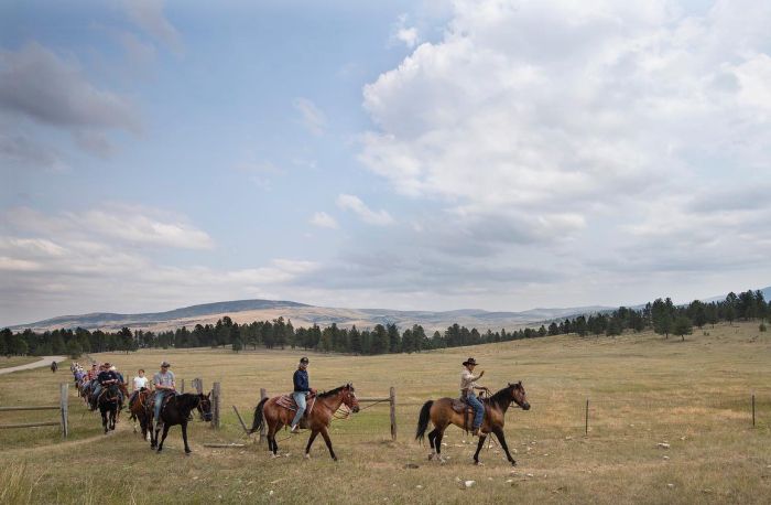 Little Belt Mountain Ranch