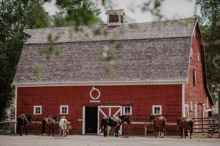 Little Belt Mountain Ranch