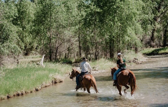 Little Belt Mountain Ranch