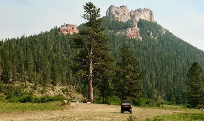 Little Belt Mountain Ranch