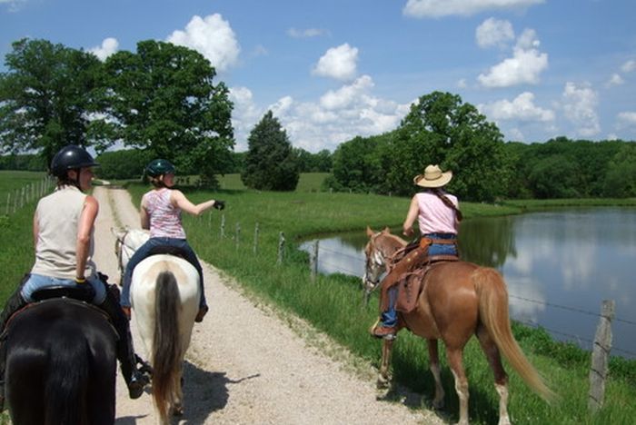 La randonnée des missouri foxtrotter