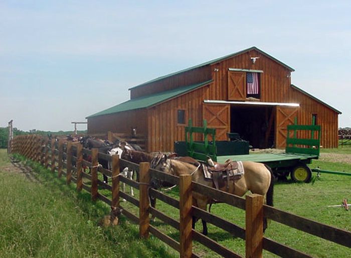 La randonnée des missouri foxtrotter