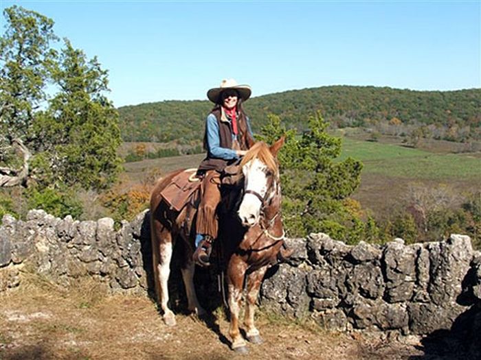 La randonnée des missouri foxtrotter
