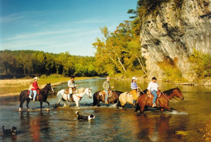 La randonnée des missouri foxtrotter