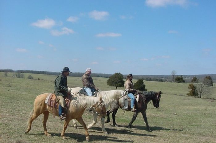 La randonnée des missouri foxtrotter