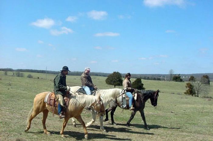 La randonnée des missouri foxtrotter