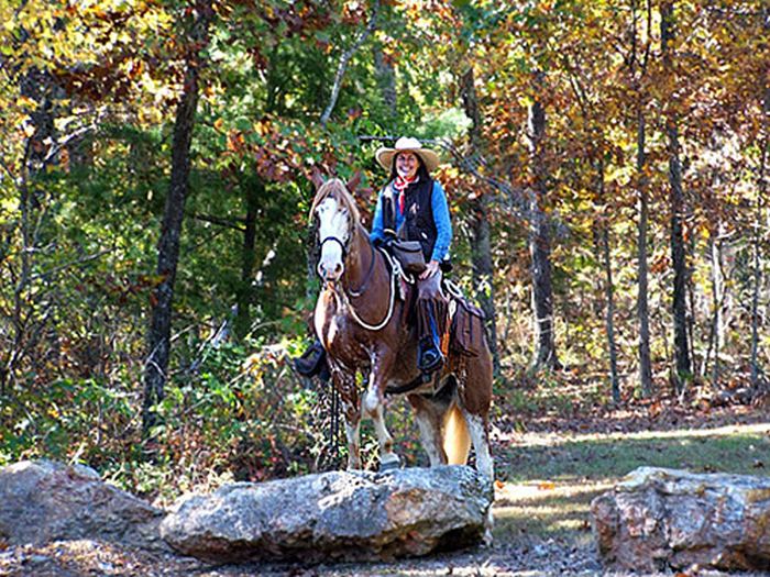 La randonnée des missouri foxtrotter
