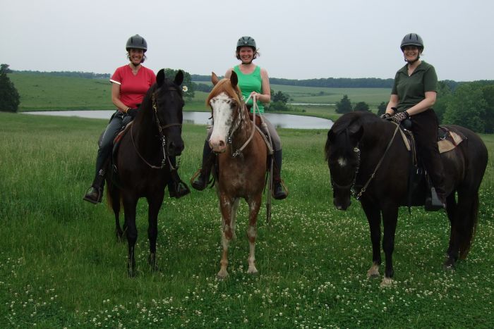 La randonnée des missouri foxtrotter