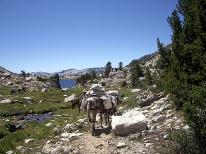Circuits des Hautes Sierras