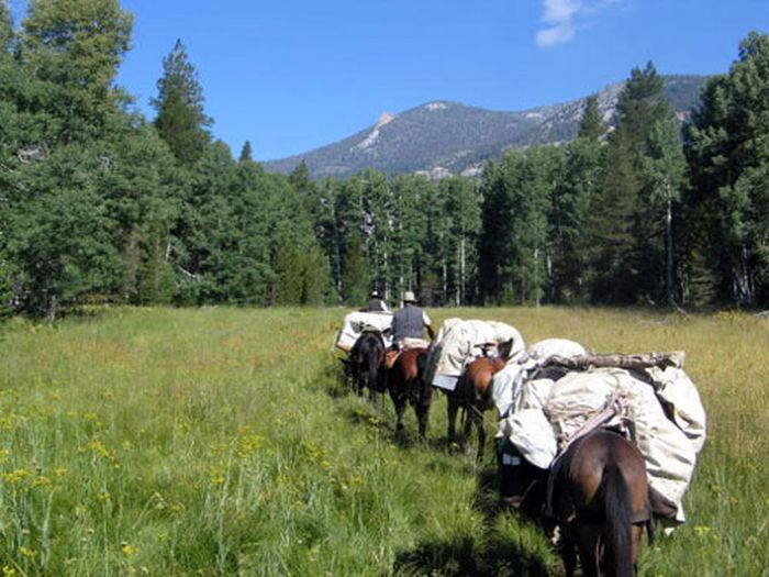 Circuits des Hautes Sierras
