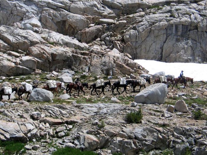 Circuits des Hautes Sierras
