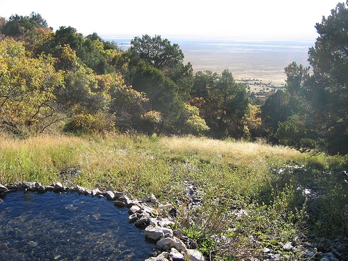 The Hot Springs