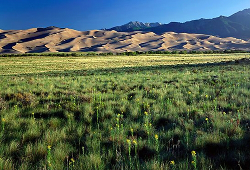 Les grandes Dunes de sable