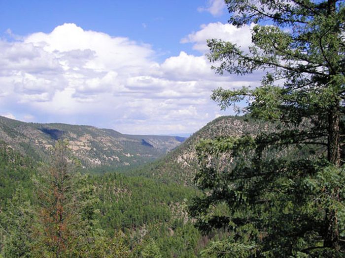Chiricahua Apache Ride à Gila