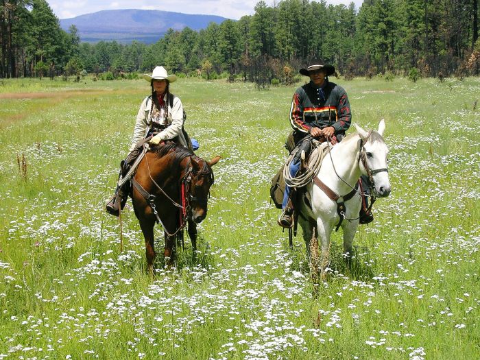 Chiricahua Apache Ride à Gila