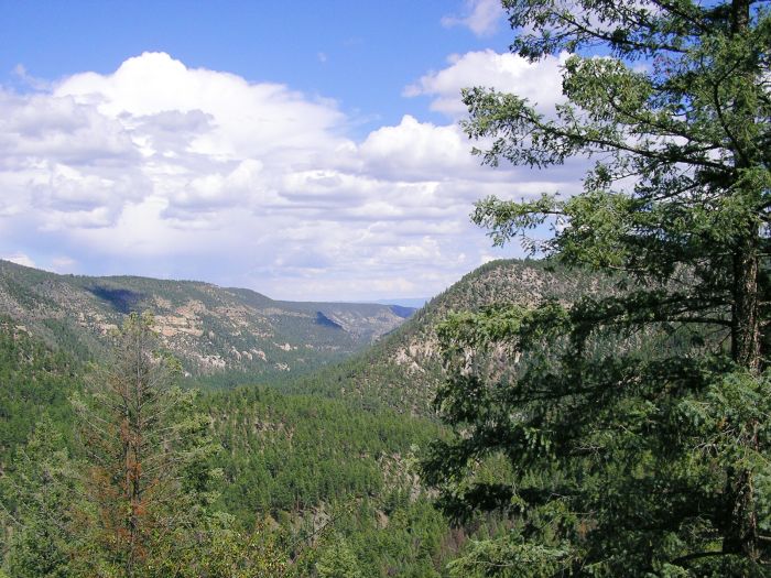 Chiricahua Apache Ride à Gila