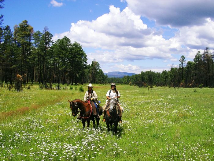Chiricahua Apache Ride à Gila