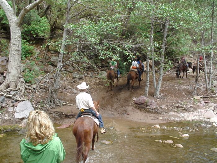 Cattle Ranch à Pleasant Valley