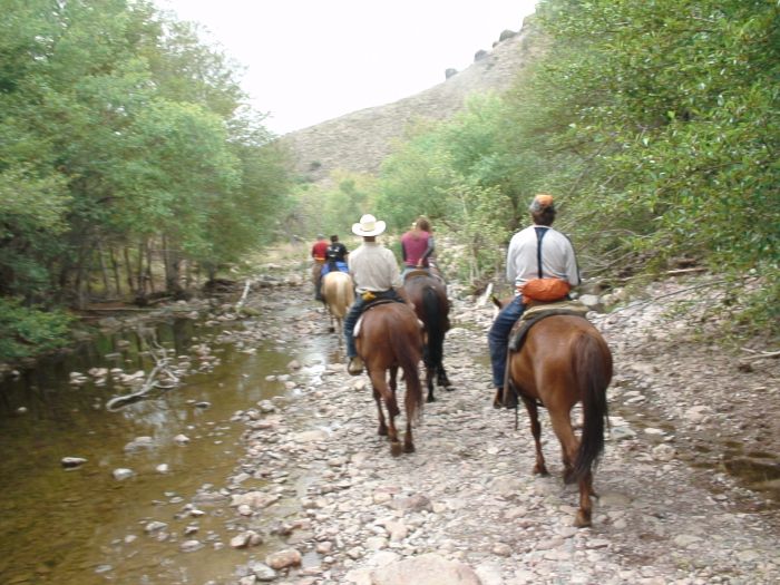 Cattle Ranch à Pleasant Valley