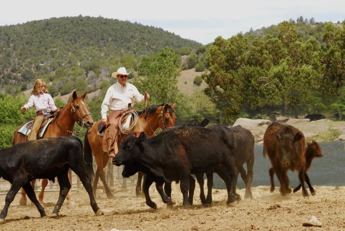 Cattle Ranch à Pleasant Valley