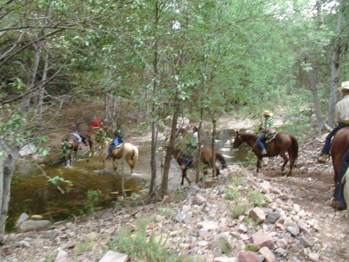 Cattle Ranch à Pleasant Valley