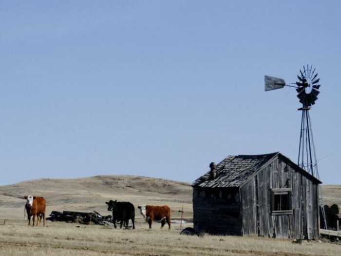 Working & Cattle Ranch "Devils Tower" au Wyoming