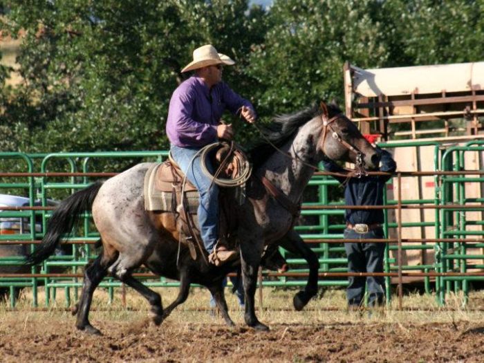 Working & Cattle Ranch "Devils Tower" au Wyoming