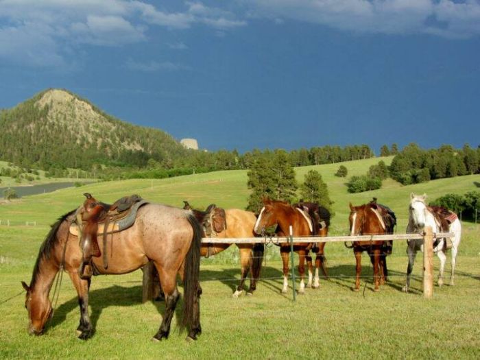 Working & Cattle Ranch "Devils Tower" au Wyoming